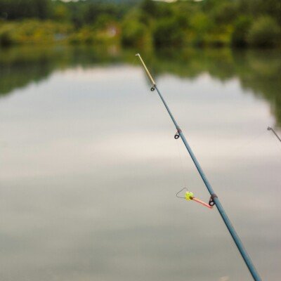 Access to catch and release fishing pond. fishing at the pond