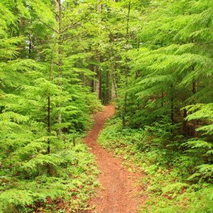 Park Trails