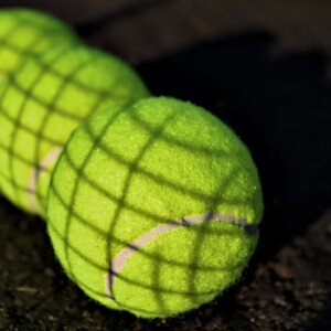 Tree tennis balls